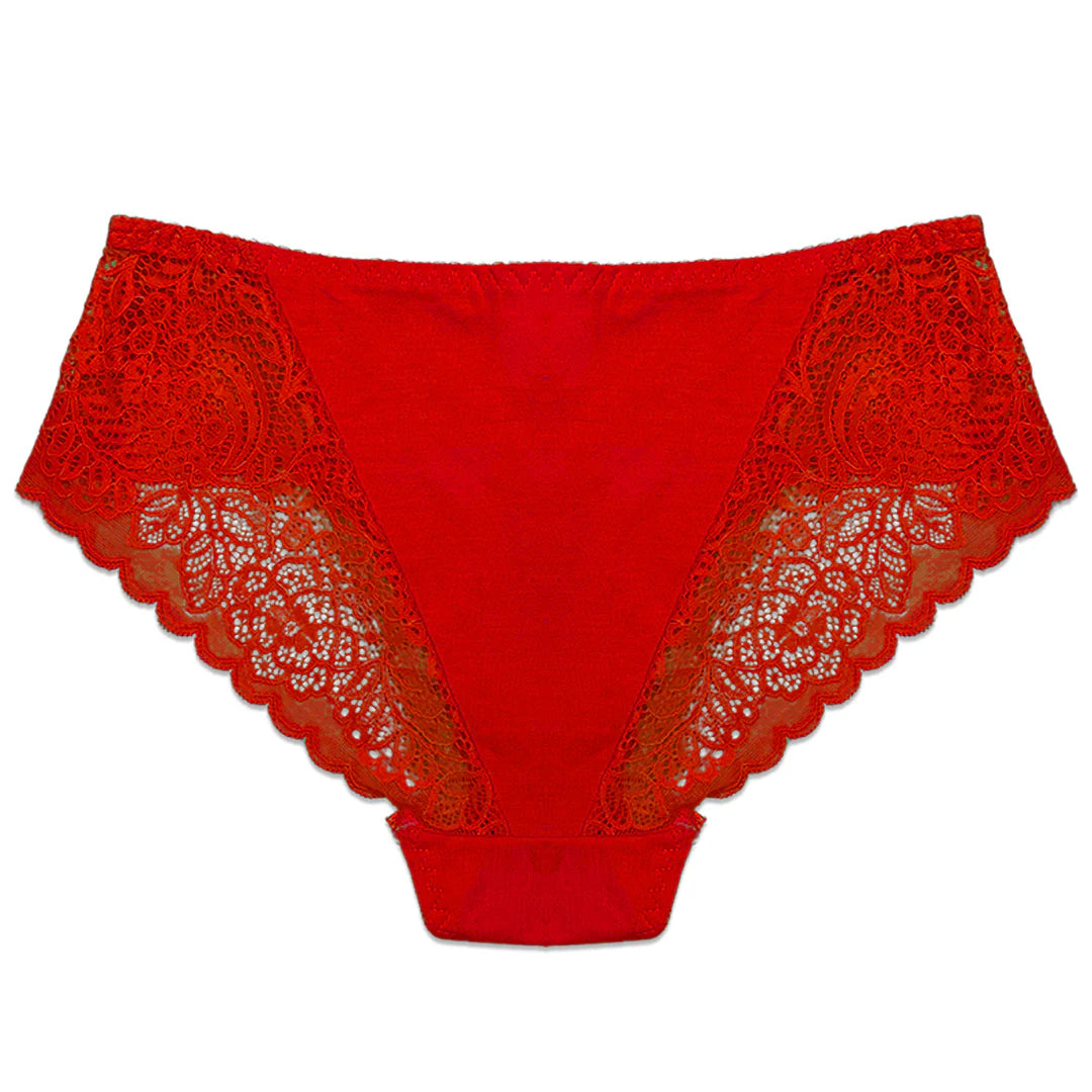 Pack of 3 Briefs Panties - Lace Desire