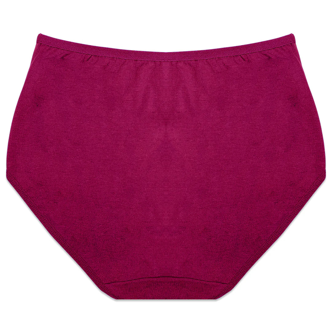 Pack of 2 Briefs Panties - Comfy Cotton