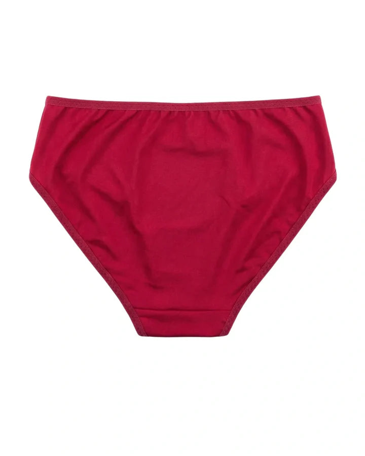 Pack Of 3 Brief Panty - Arvia
